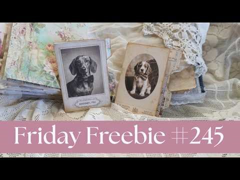 Friday Freebie #245