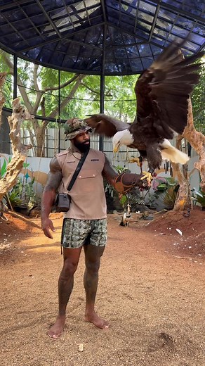 Mike Holston on Instagram: "Give me some tips Bald eagle training class 🦅 People tend to always show the highlights but what about the work that goes into the craft .. the good days and bad days ! Raptor class was a success today ! I had the privilege of working with this iconic species for a few days in a row ! Was every handling perfect …no …. But it’s the repetition that add up to acquire skills !"