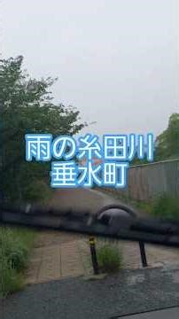 「糸田川沿いの遊歩道」吹田市垂水町・住宅街の中の静かな散策スポット