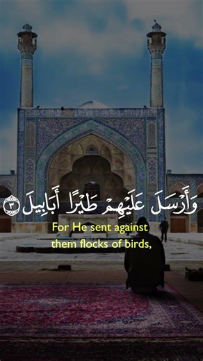 Sourate al fil - Beautiful recitation