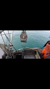 Happy Friday from Princess Seafood! Here are a few updates for this weekend. 🍽RESTAURANT🍽️ Restaurant specials include Grilled local crab plates, ahi poke bowls, grilled rockfish tacos with mango salsa, crab melts, Humboldt oysters on the half shell and lots more! Restaurant Wekks special at the fish market- 1/2 grilled crab, 4 grilled oysters with garlic bread. 🎵LIVE MUSIC Sat — Lauralee Brown 1-4 Sun - Ben Ortiz 1-4 👩‍🌾 UKIAH FARMER’S MARKET We WILL be attending 2/3! We have sashimi grade