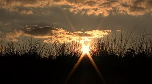 Camping Comes to Gateway's Sandy Hook