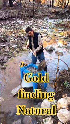 gold finder