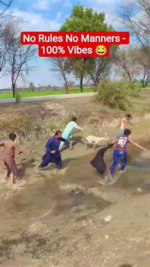 No rules, No manners — 100% vibes 💯 #funny #funnyvideo #dog