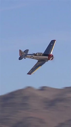 Fighting Texan | WWII Warbird AT-6D