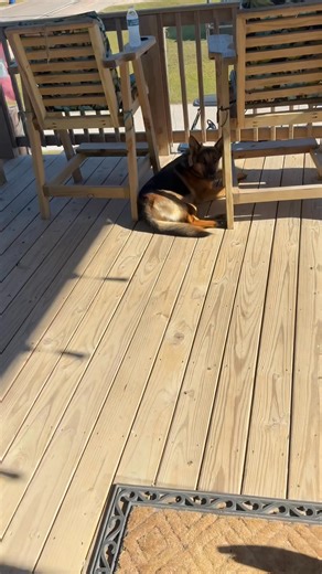 1.7K views · 44 reactions | Nice day with your two favorite beach shop bums!! | Surfside beach buggy rental | Facebook