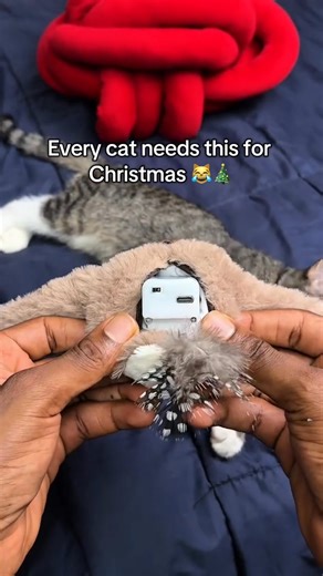 🐦 The Flying Bird Toy Every Pet Owner Needs! 🐾💨 Looking for a fun way to entertain your furry friend? 🐶🐱 This flying bird toy flaps, spins, and soars through the air — keeping your pet active, curious, and full of joy! ✨ Don’t miss out on this viral pet gadget 🛒 https://t.site/4i3iyMp | Categoryn