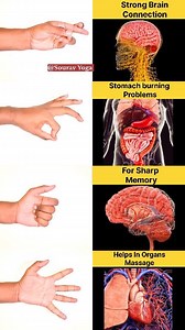 4 Best Finger Hand Exercises ✅️ Good For Strong Brain Connection Stomach burning Problems For Sharp Memory Helps In Organs Massage Do This Finger Exercise 150-200 times Daily Sourav Yoga #yoga #yogateacher #hand #exercise #yogaeverywhere #yogaeveryday #yogainspiration #yogajourney #vogalove #brainhealth #Stomach #organs #backpainrelief #metabolichealth #mudras #healingjourney #stressreliel #stresstree #reels #facchookreel #viralpost2025 #trendingreels #viralvideo #viralreels #viral #explorepage 
