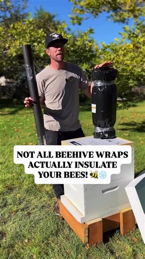 Wrapping your beehives for winter and insulating your beehives are two different things. 🐝❄️ And depending on where you keep bees, that difference can matter quite a bit. Honeybees don’t heat the entire hive the way we heat our homes. Instead, they form a winter cluster, generating heat with their flight muscles and regulating the temperature around themselves and their brood. But the environment surrounding that cluster still plays an important role in how much energy the colony needs to expen