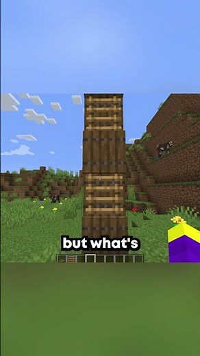 java vs bedrock facts