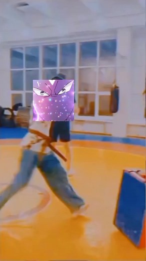 Martial Arts Training Techniques in Gymnasium