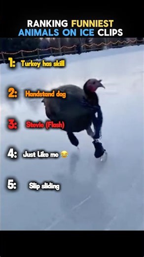 Top 5 animals slipping and sliding on ice—pure comedy!#animals #funny #ice #shorts #top5 #viral