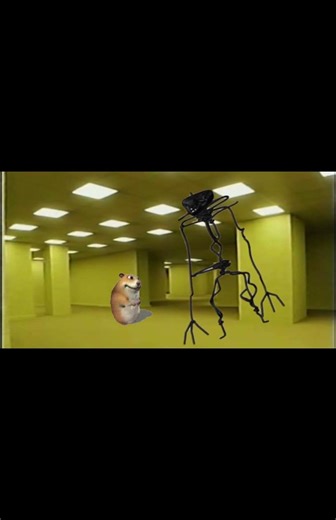 chomik low-key in the backrooms #memes #funny #funnymemes #backrooms