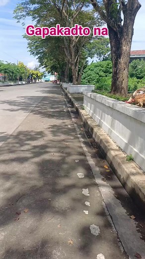 Pakadto nasa #kabor | Gerone Fenequito Gemolaga