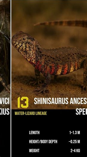 The Giant Lizard That Vanished From Earth! #shorts #lizard #earth