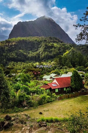 run wild while you still have the time and the health #cantwaitforsummer #travel2026 #takethetrip #travelmanifesting #spendmoneypntravelnotrelationships