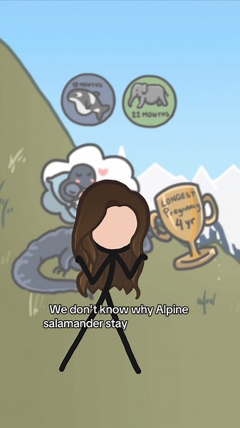Discover the Alpine Salamander's Unique Pregnancy