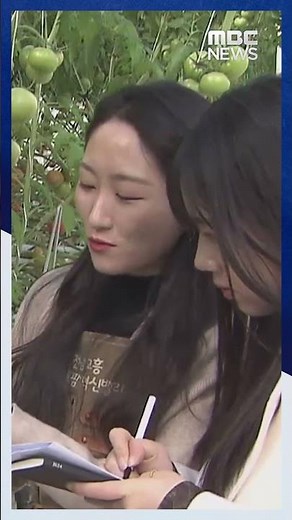 벌 수명 늘리는 '스마트 벌통'..생산량도 증가 #Shorts (MBC뉴스)