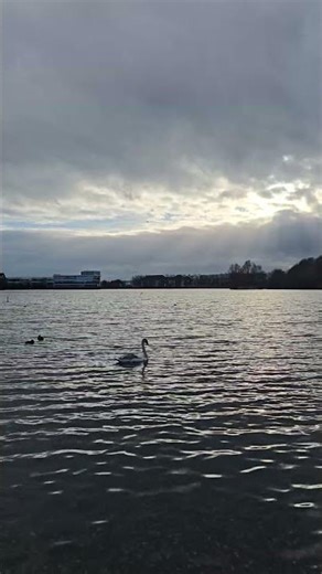 Nature’s Perfect Reflection 🌿