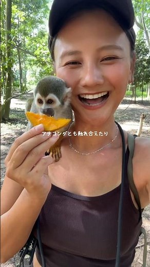 アナコンダにナマケモノとも触れ合えるアマゾンジャングルが最高🌳✨ #世界一周 #ひとり旅 #海外旅行 #旅 #アマゾン川
