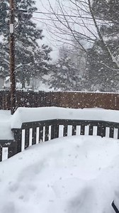 111K views · 2.3K reactions | A look at the snow falling in...