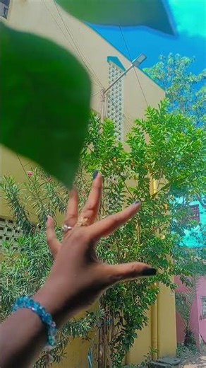 #pleasesubscribe #trending #hand #short #funny#viralvideo #youtube #handdance #shortsfeed#ytshorts