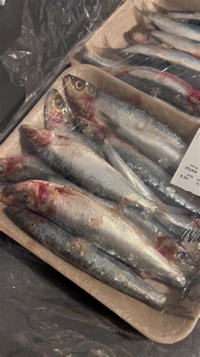 Mastering Dead Bait Fishing Techniques