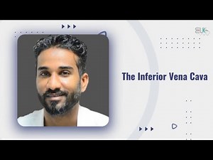 Ultrasound of the IVC