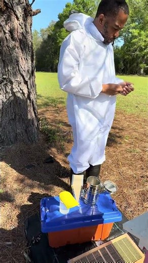 Installing 5 Frames Bee Nucs #homesteadingjourney #beekeeping #honeybee