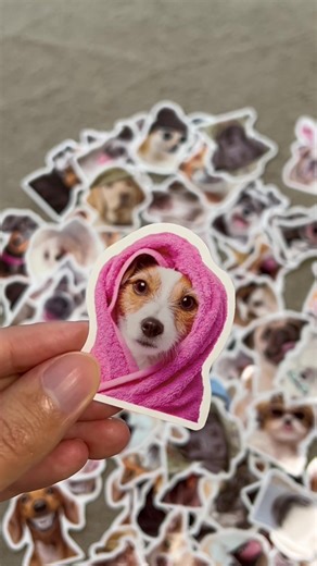 Decorate Your Bottle with Fun Meme Stickers
