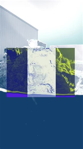 Who knew a poop pile could be so exciting from cleaning the barn 🤣 #boergoats #montana #ranchlife #fyp #goat