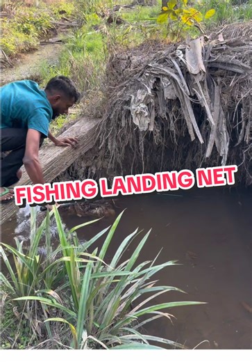 Best Fishing Landing Net for Easy Catching
