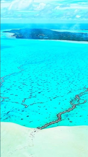 Welcome to Paradise Island: Aitutaki, Cook Islands 🌴#shorts
