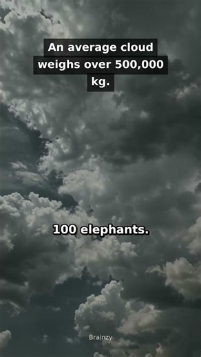 An average cloud weighs over 500,000 kg #Shorts