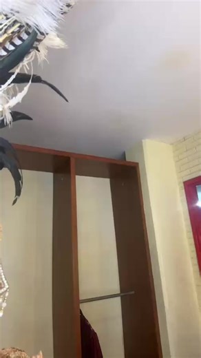 Aracely Arambula on Instagram