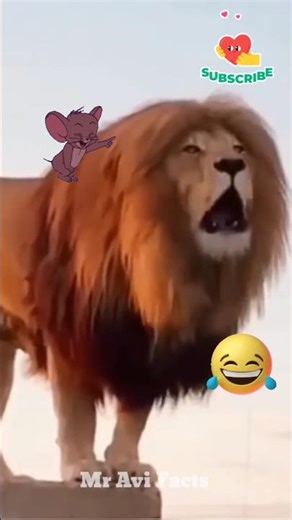 The Real Voice of Tiger 🐅 | Original Tiger Sound #funny #lion #shortsfeed #shorts