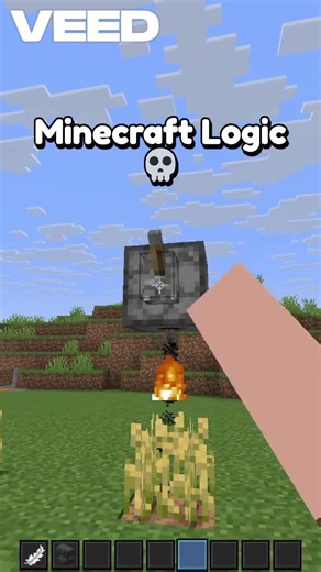 Minecraft Dumb Logic 🙃🙃😭😭!!