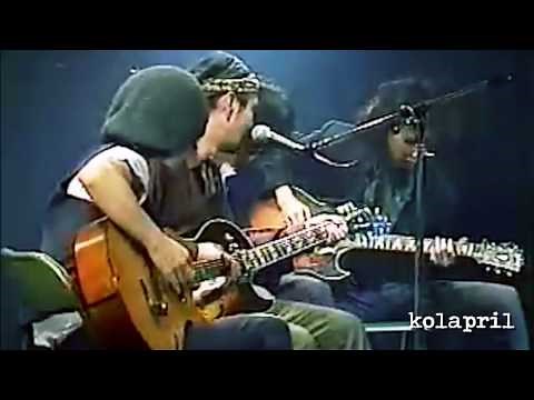 野良犬 // 泉谷しげる with LOSER