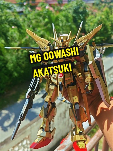 MG Oowashi Akatsuki Review