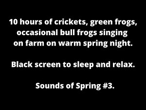 Crickets chirping, Green Frog & Bullfrog sounds, Black screen fall asleep fast Cricket Frog Sounds
