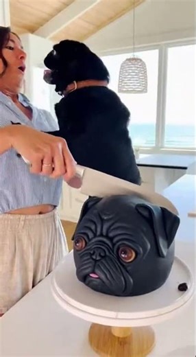 My Pug’s Reaction to Cutting a Realistic Pug Cake is Everything! 😱🍰 #puppy #funnydog #funny #dog