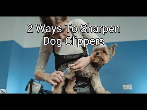 2 Ways To Sharpen Dog Clippers