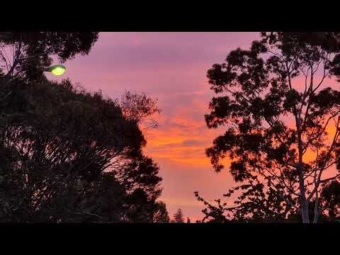 Microsoft flight simulation Online realistic free flight simulation