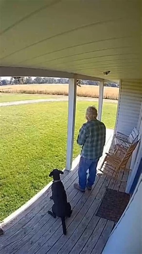 Brave Dog Saves Elderly Owner from Wild Leopard Attack 🐕❤️ #trendingnow #Reels #viral #trending #fyp | Inspiring Story