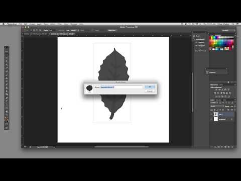 HOW TO Create a Leaf Pattern Brush in Photoshop