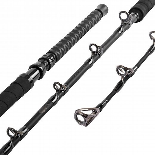Daiwa Proteus Tuna Special Rail Rod Fishing Rods