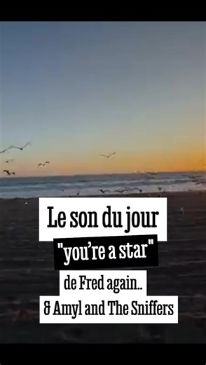 Le son du jour : “You’re a Star” de Fred again.. featuring Amyl and The Sniffers Le célèbre producteur londonien, apparu par surprise aux côtés de Thomas Bangalter à Beaubourg, a dévoilé début octobre le premier single de sa nouvelle série de "USB releases", baptisée "USB002". Cette fois, il s’associe au génial groupe de punks australien·nes Amyl and The Sniffers. L’énergie brute du groupe mené par Amy Taylor, mêlée au son break UK de Fred again.., donne naissance à un single étonnant, une synth