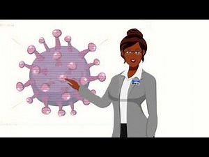 BEA SURE: TESTING TALK...CLEANROOM 101