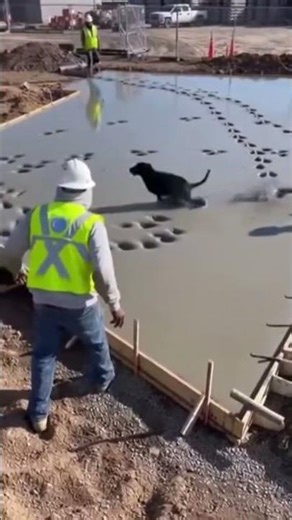 is over 😆😆#fypシ゚viral #trending #funny #reels #shorts #fypシ#file #manager#goodvibes #teamfollowback