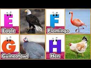 Birds Alphabet Song for Kids | Birds ABC Song | Phonics for Kids | Baby | Alphabet Letters ABCD